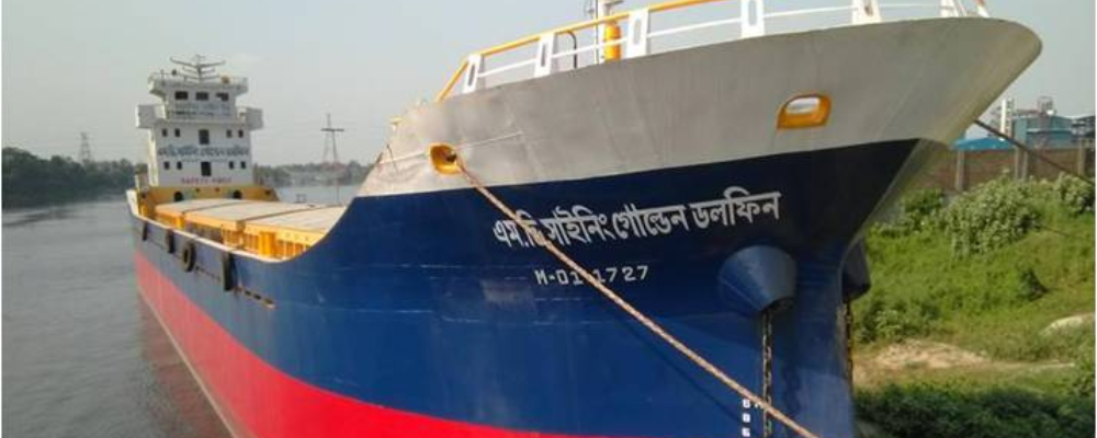 Bulk Cargo Transport